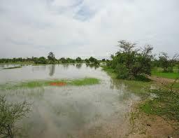 موريتانيا: تهاطلات مطرية على مناطق متفرقة من البلاد(تفاصيل)