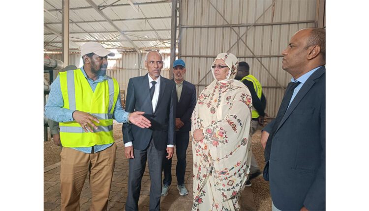 المديرة العامة المساعدة للشركة الوطنية للماء تزور عددا من مرافق الشركة في نواذيبو